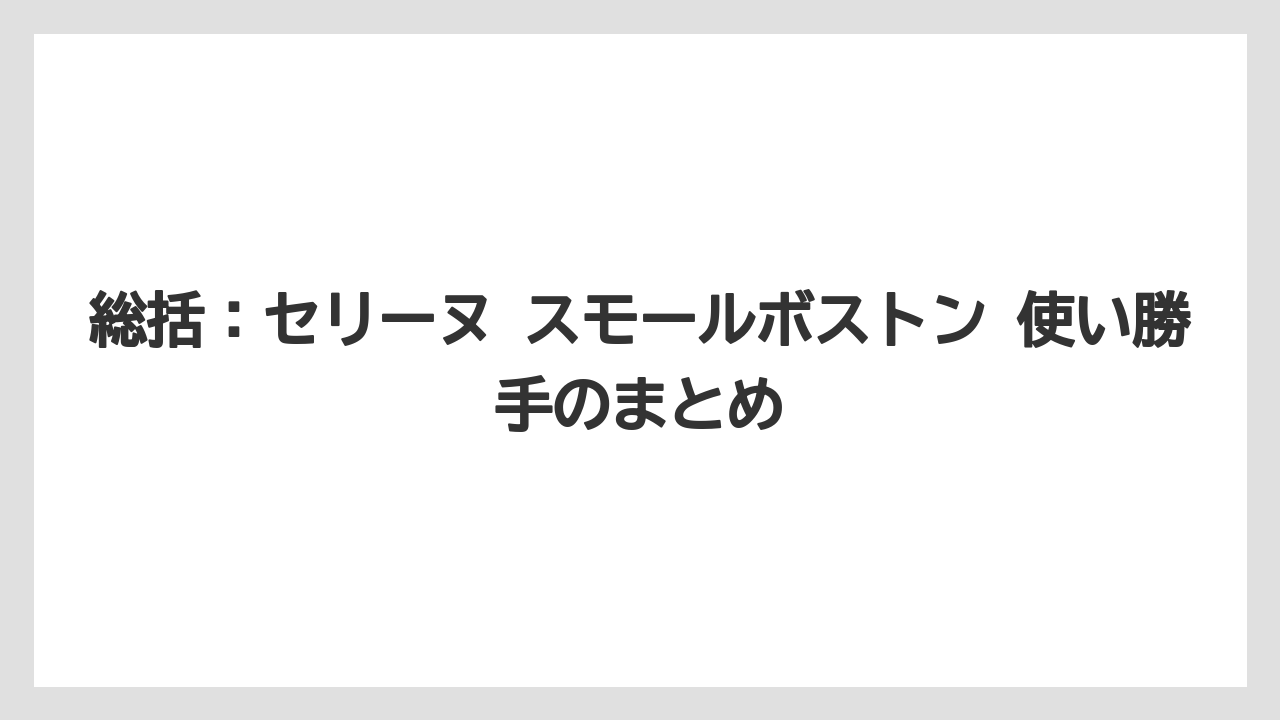 総括:セリーヌ スモールボストン 使い勝手のまとめ