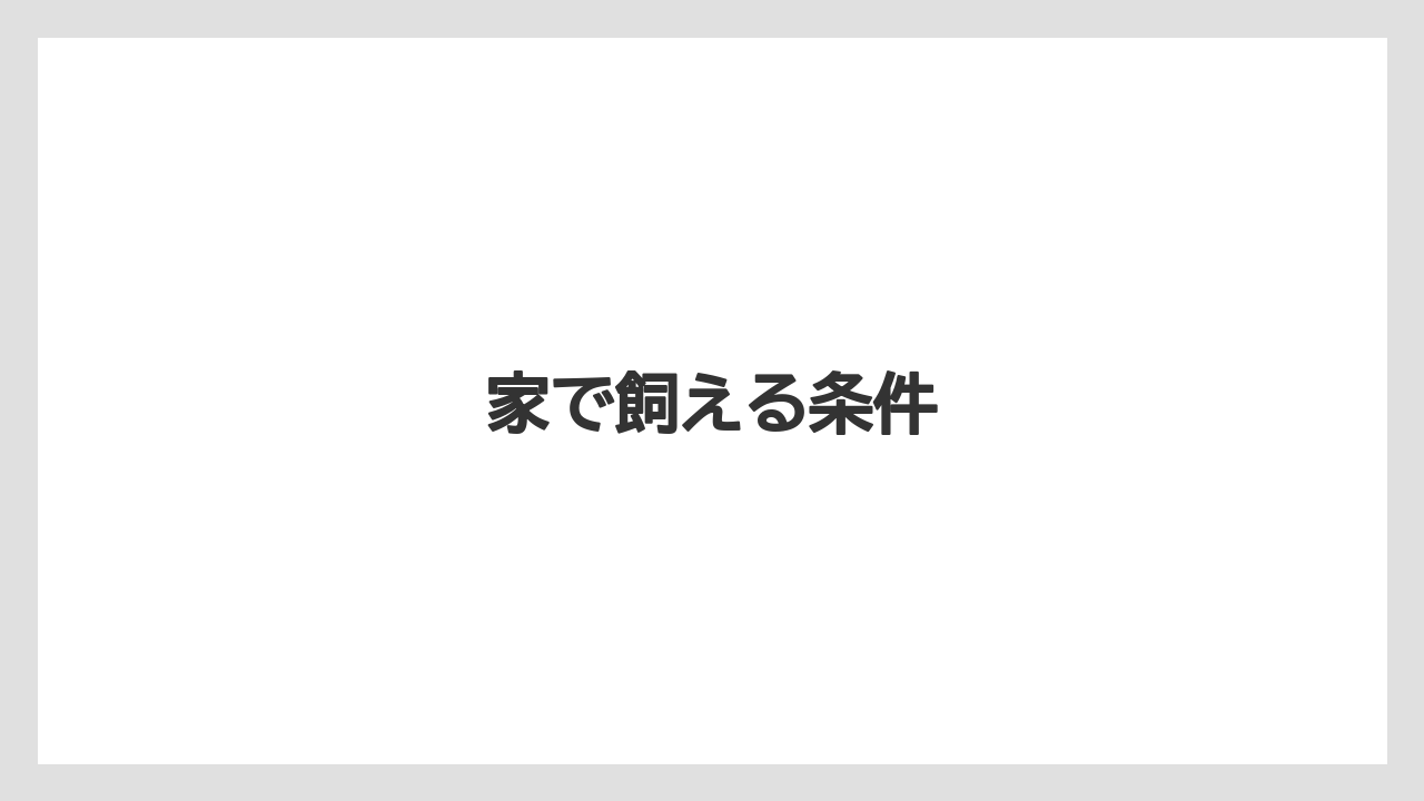 家で飼える条件