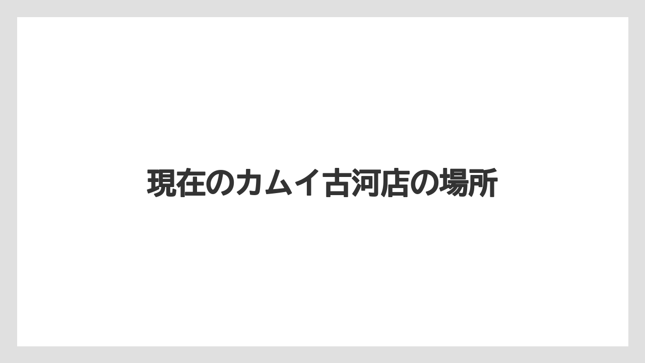 現在のカムイ古河店の場所