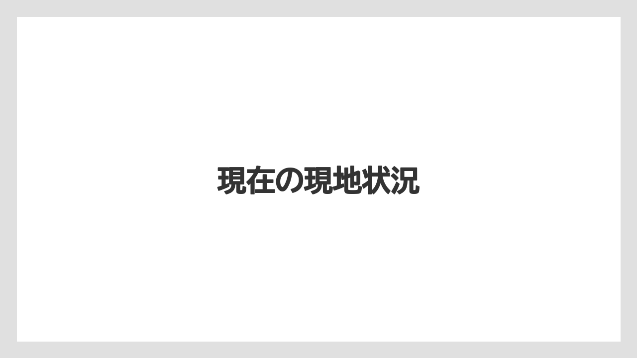 現在の現地状況