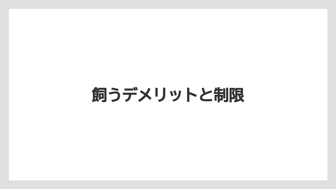 飼うデメリットと制限
