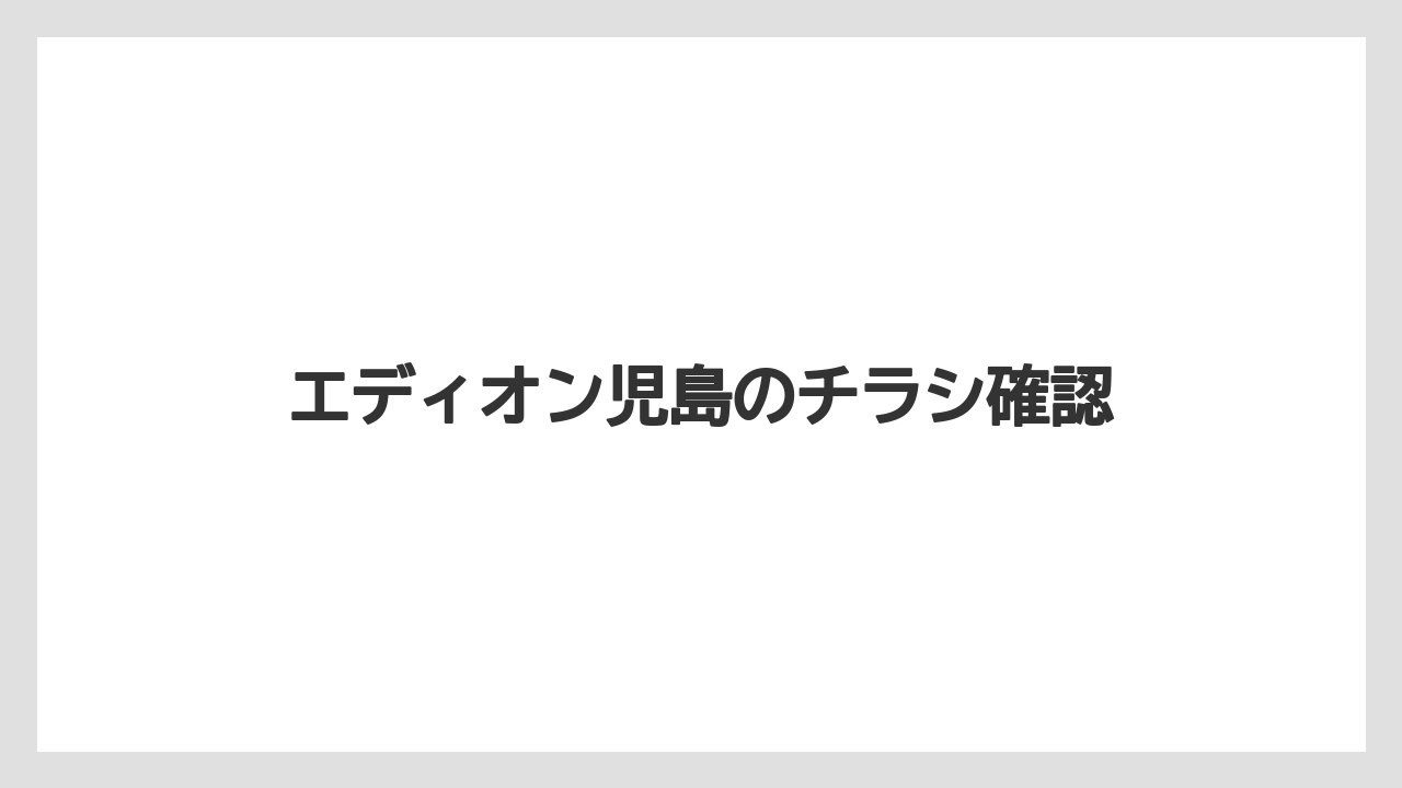 エディオン児島のチラシ確認