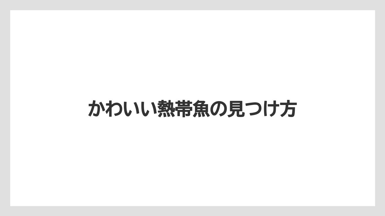 かわいい熱帯魚の見つけ方