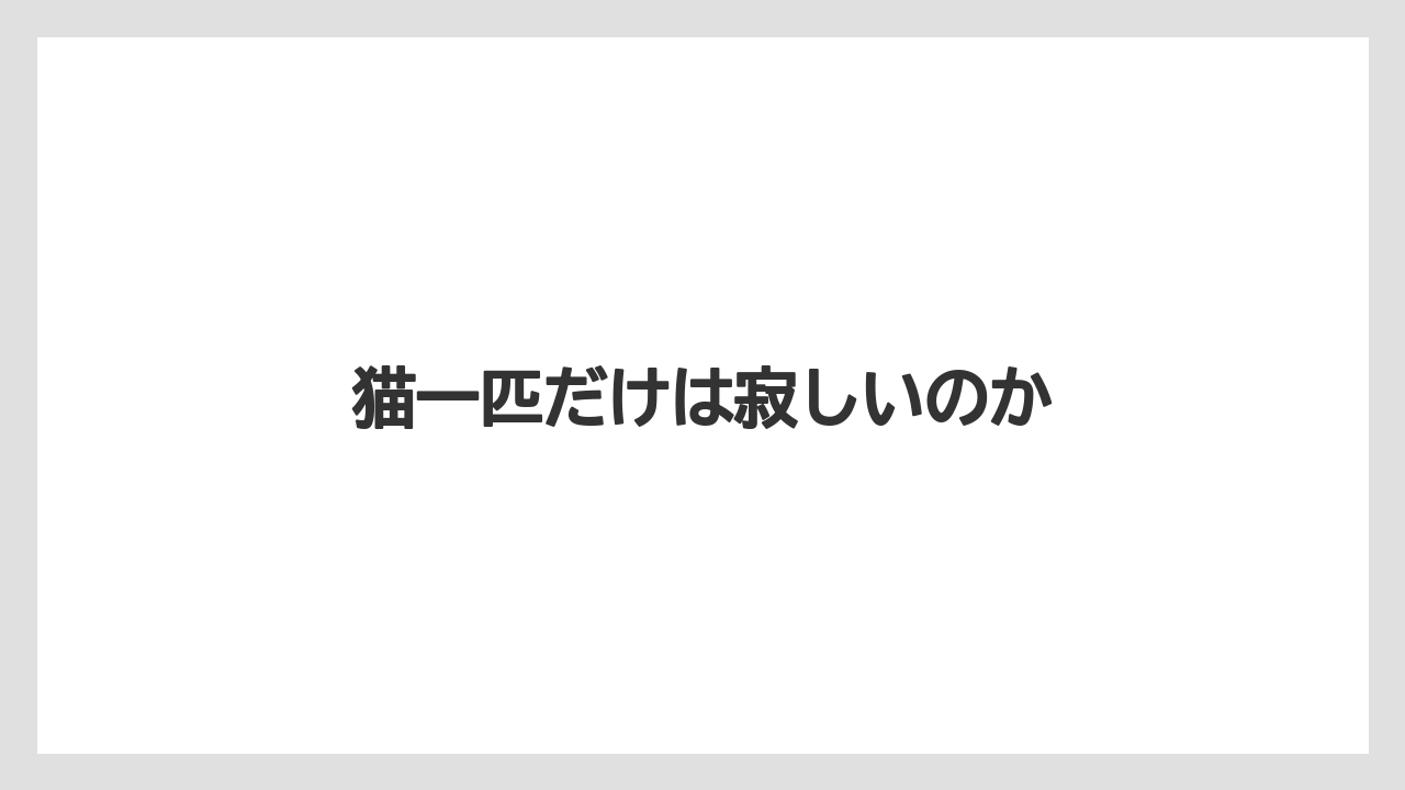 猫一匹だけは寂しいのか
