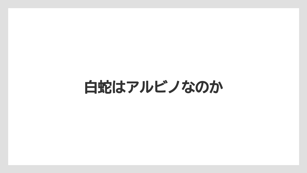 白蛇はアルビノなのか