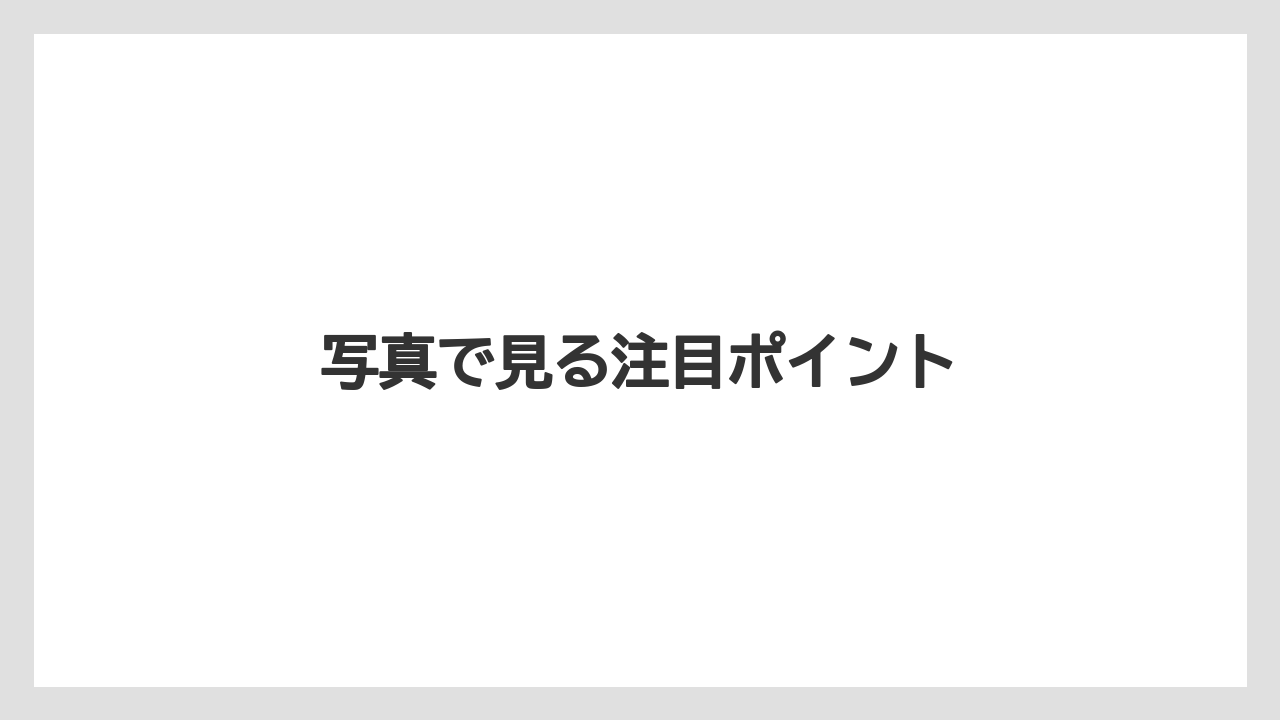 写真で見る注目ポイント