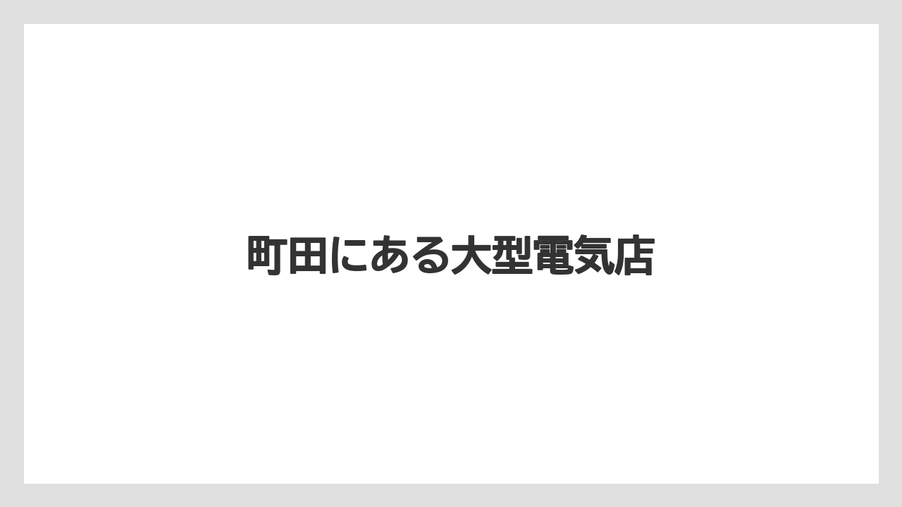 町田にある大型電気店