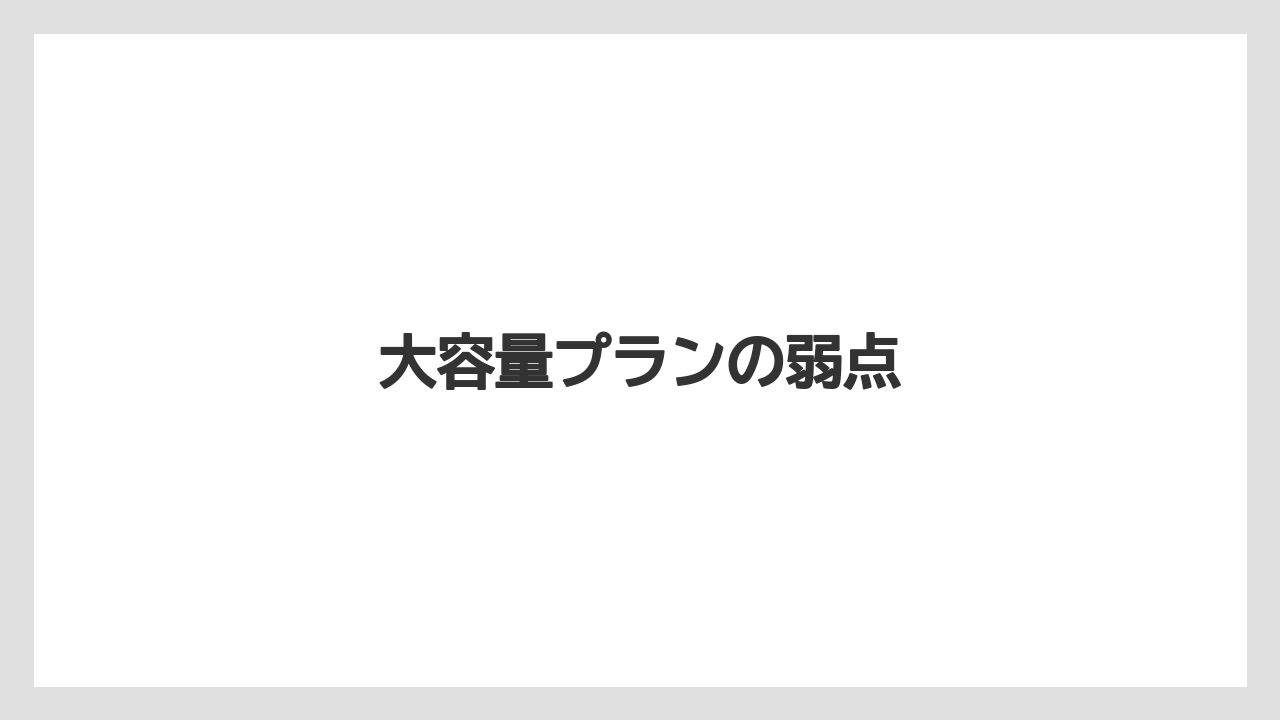 大容量プランの弱点