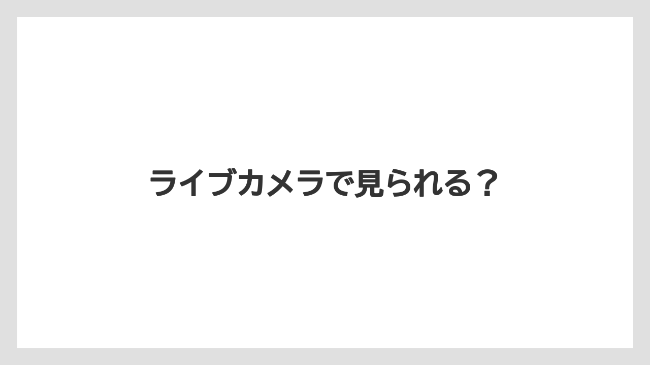 ライブカメラで見られる？