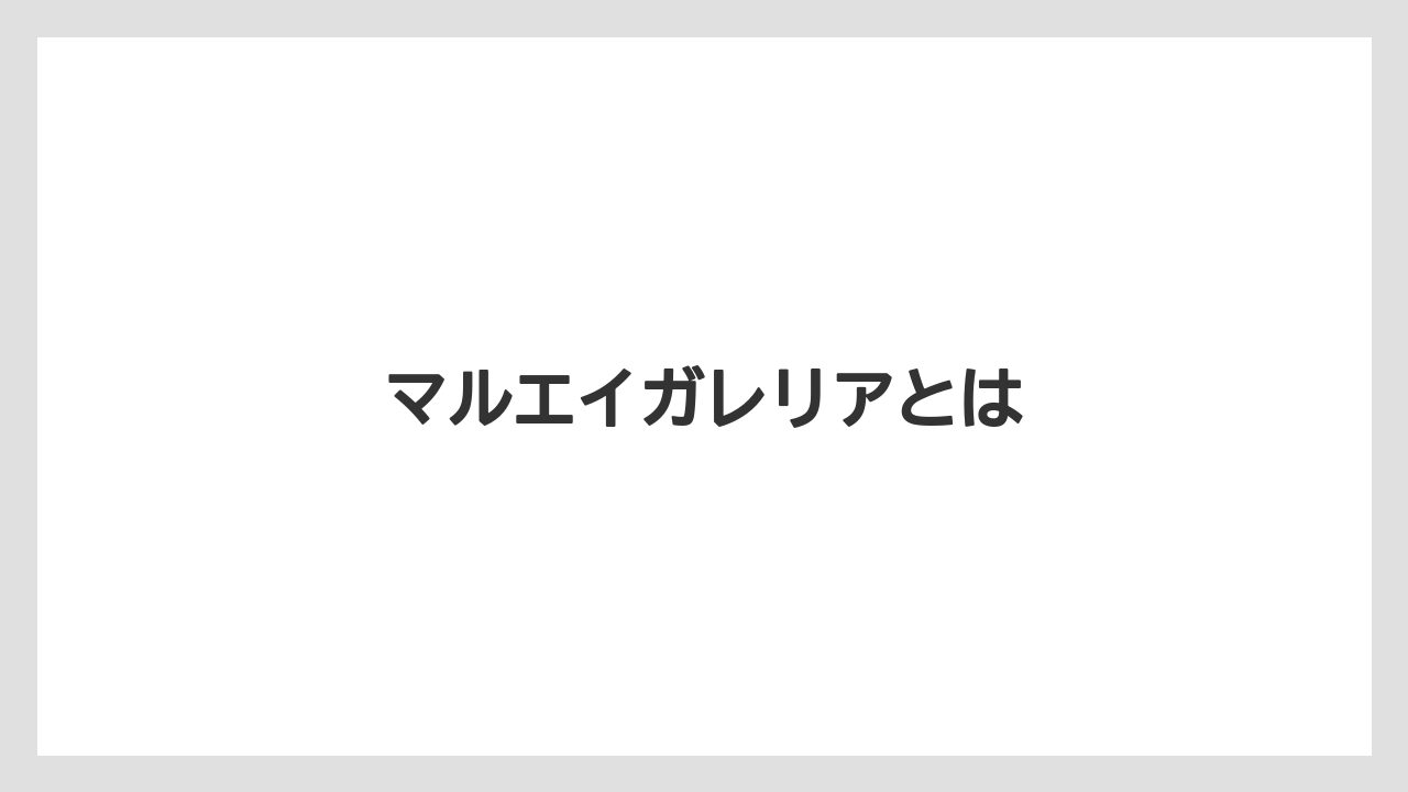 マルエイガレリアとは
