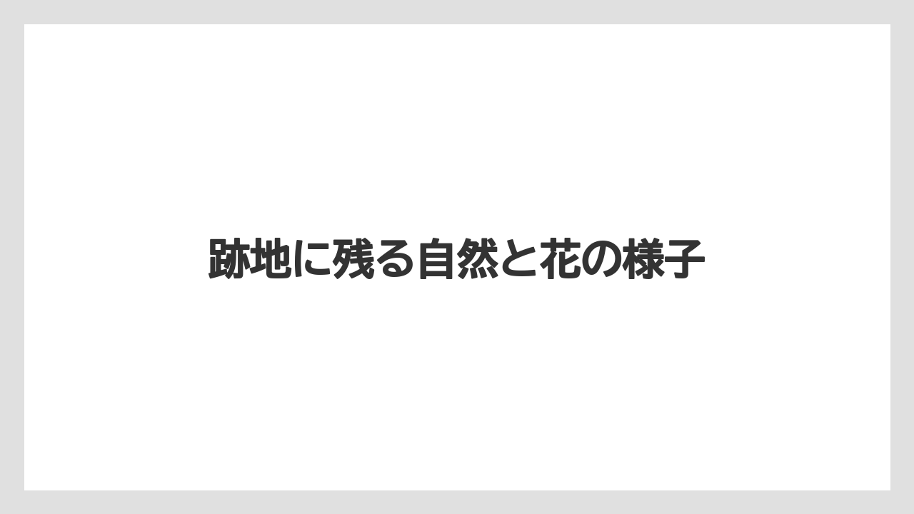 跡地に残る自然と花の様子