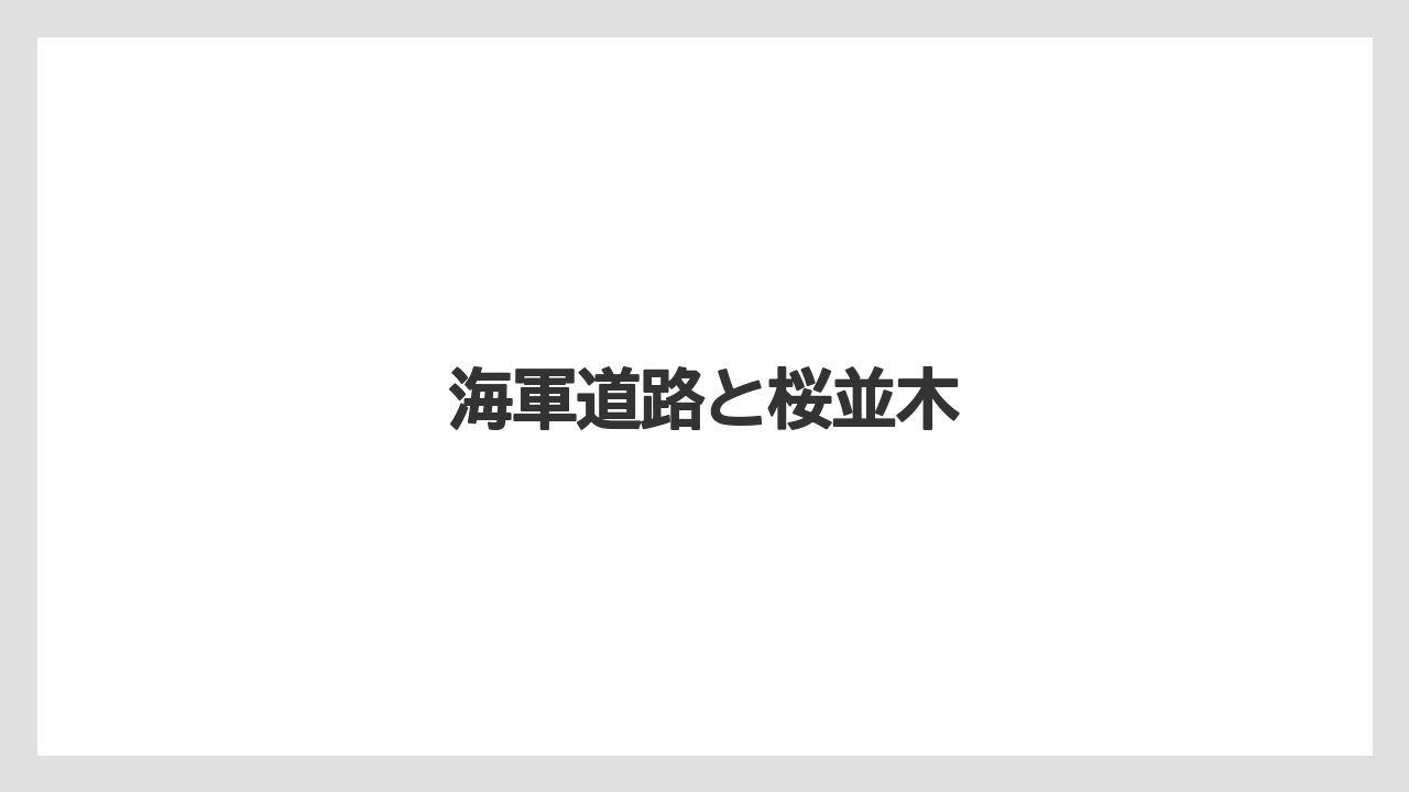 海軍道路と桜並木