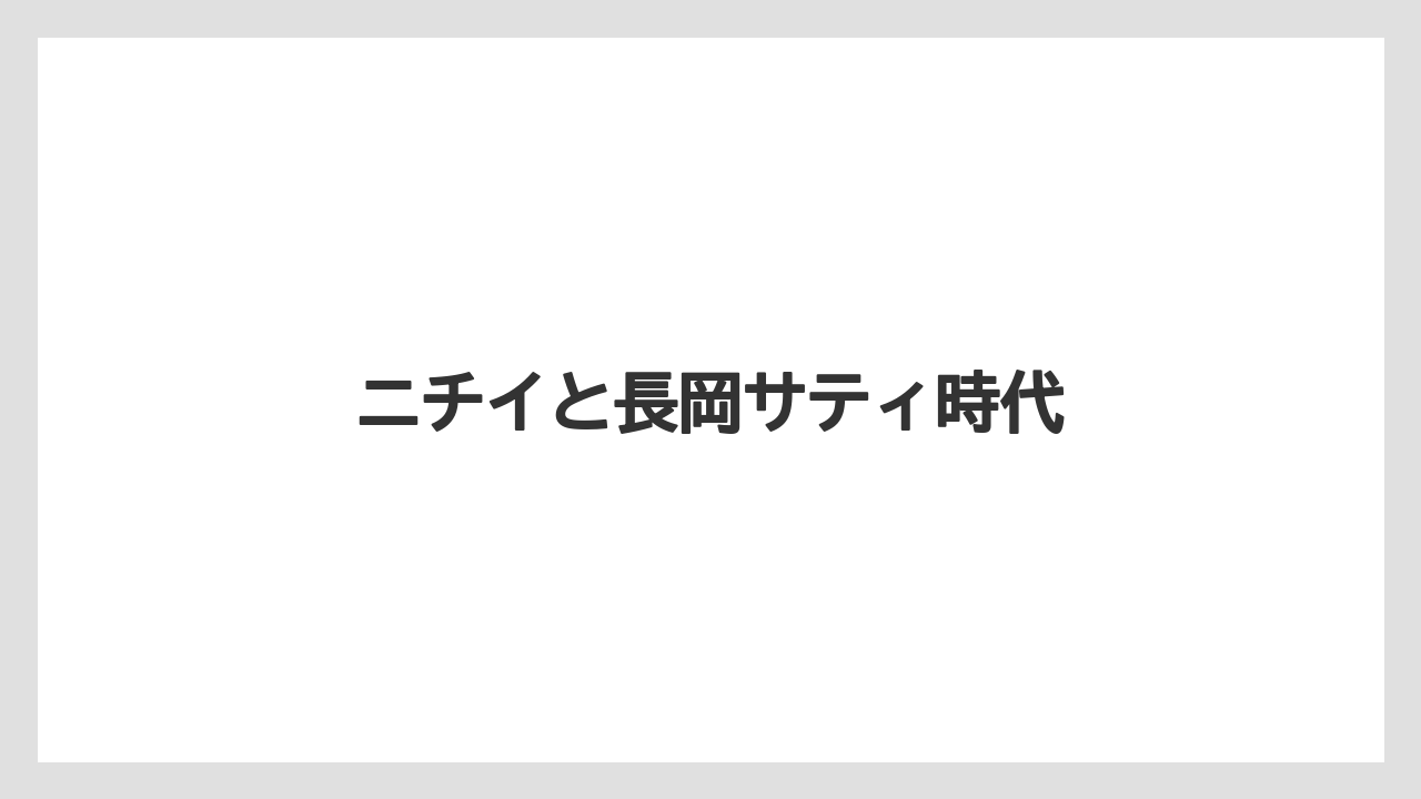 ニチイと長岡サティ時代