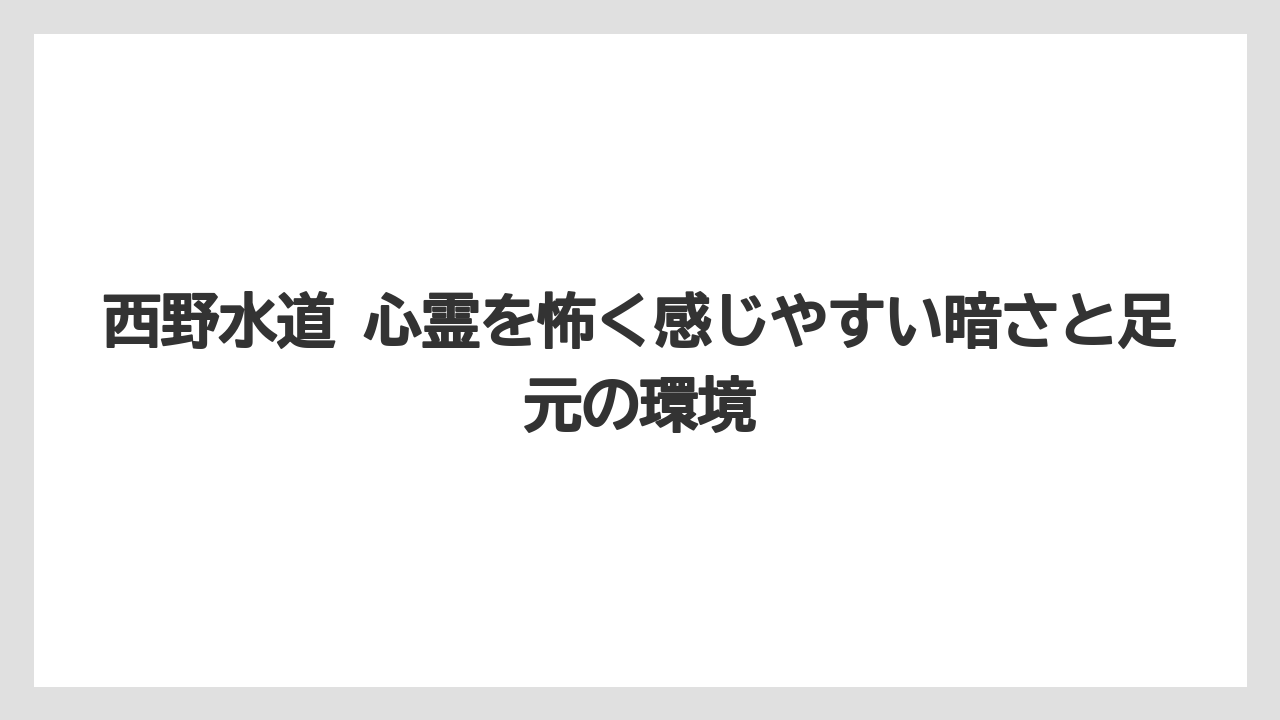 西野水道 心霊を怖く感じやすい暗さと足元の環境