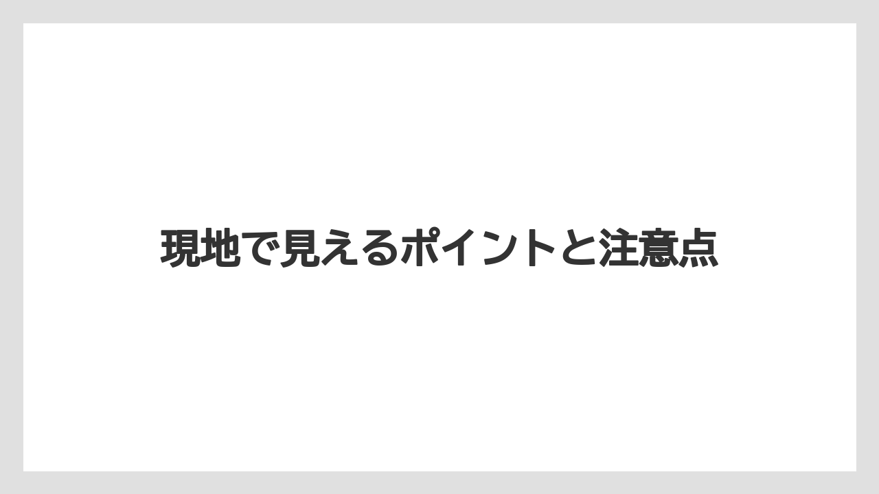 現地で見えるポイントと注意点