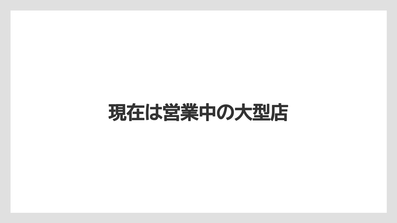 現在は営業中の大型店