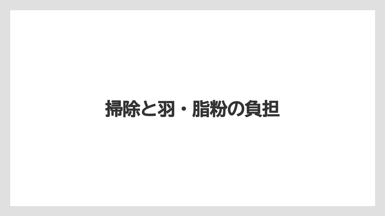 掃除と羽・脂粉の負担