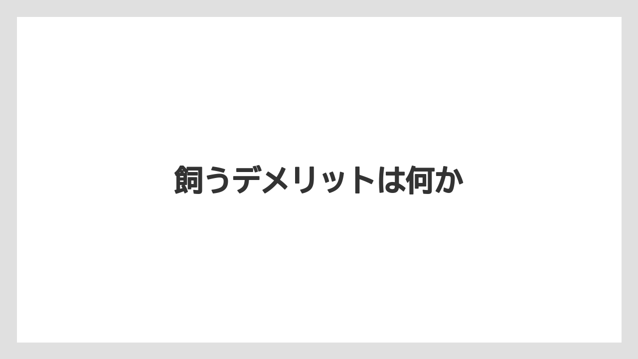 飼うデメリットは何か