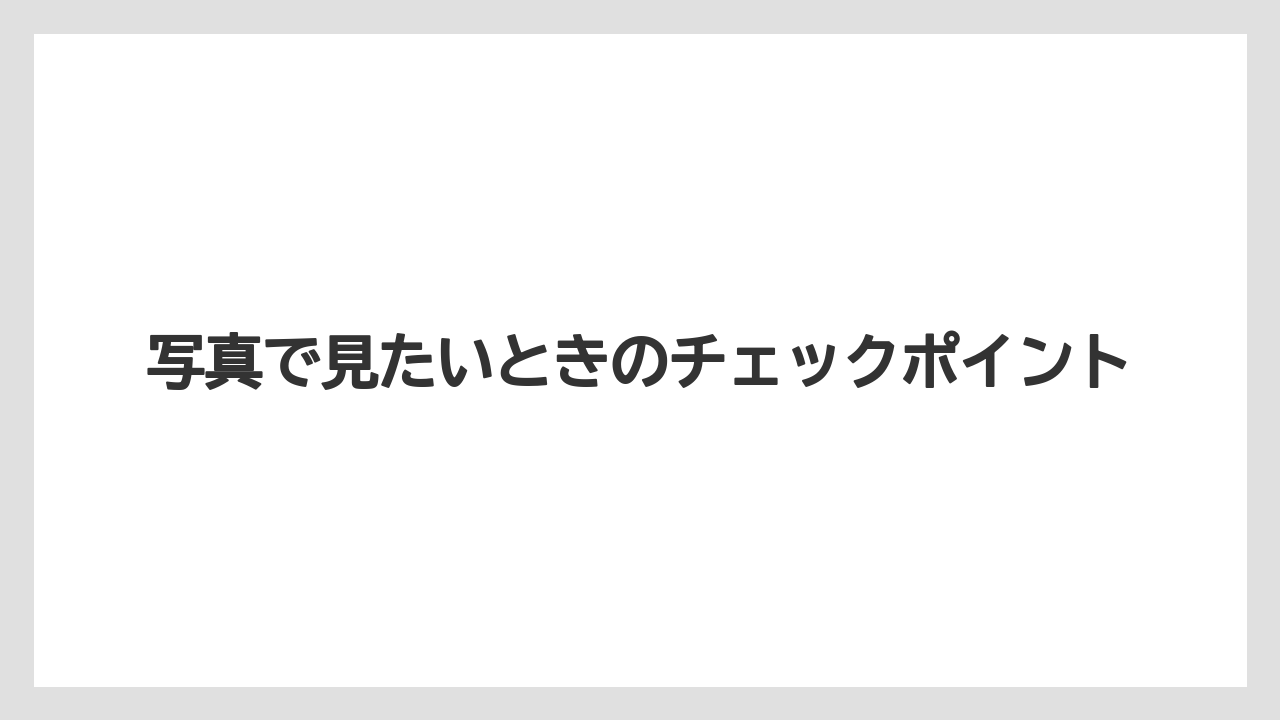 写真で見たいときのチェックポイント