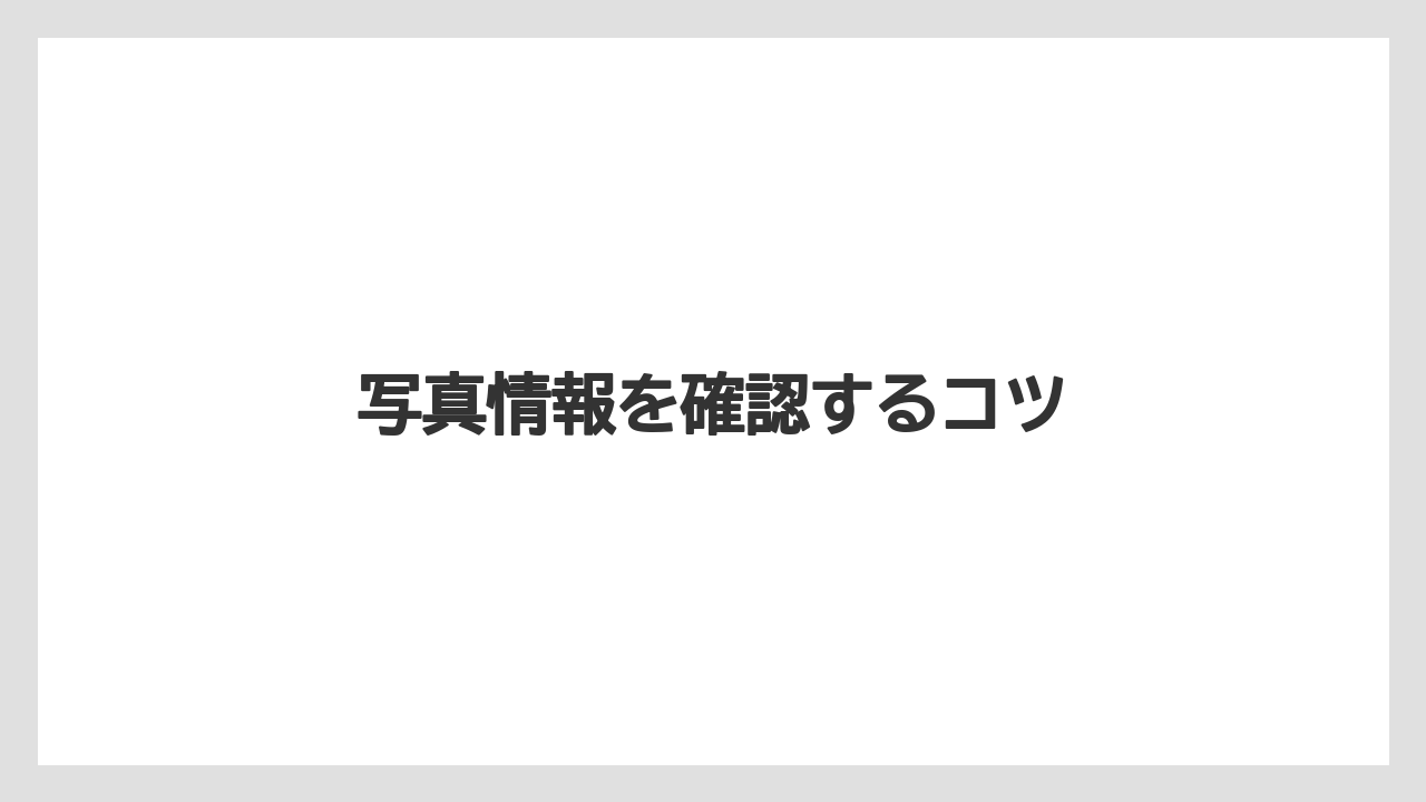 写真情報を確認するコツ