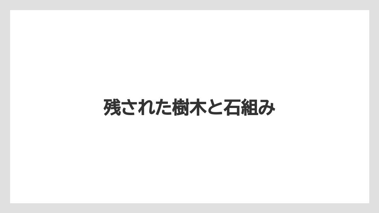 残された樹木と石組み