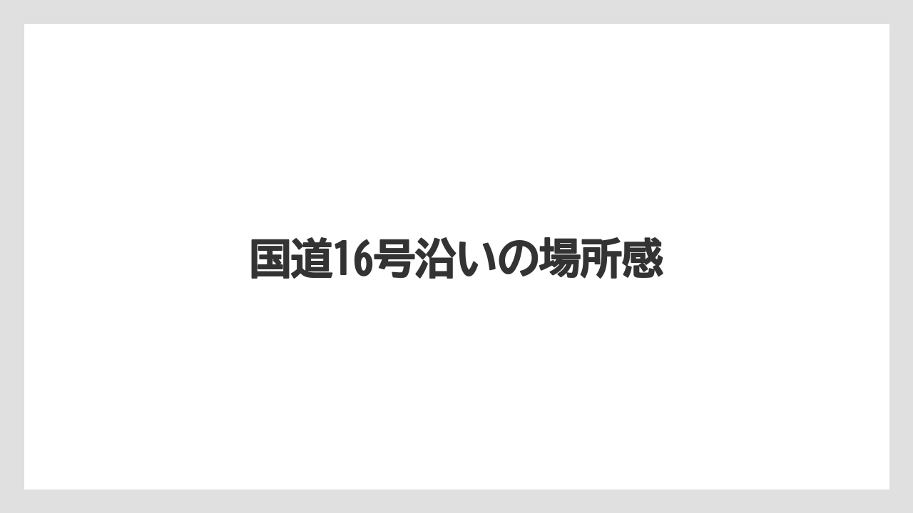 国道16号沿いの場所感