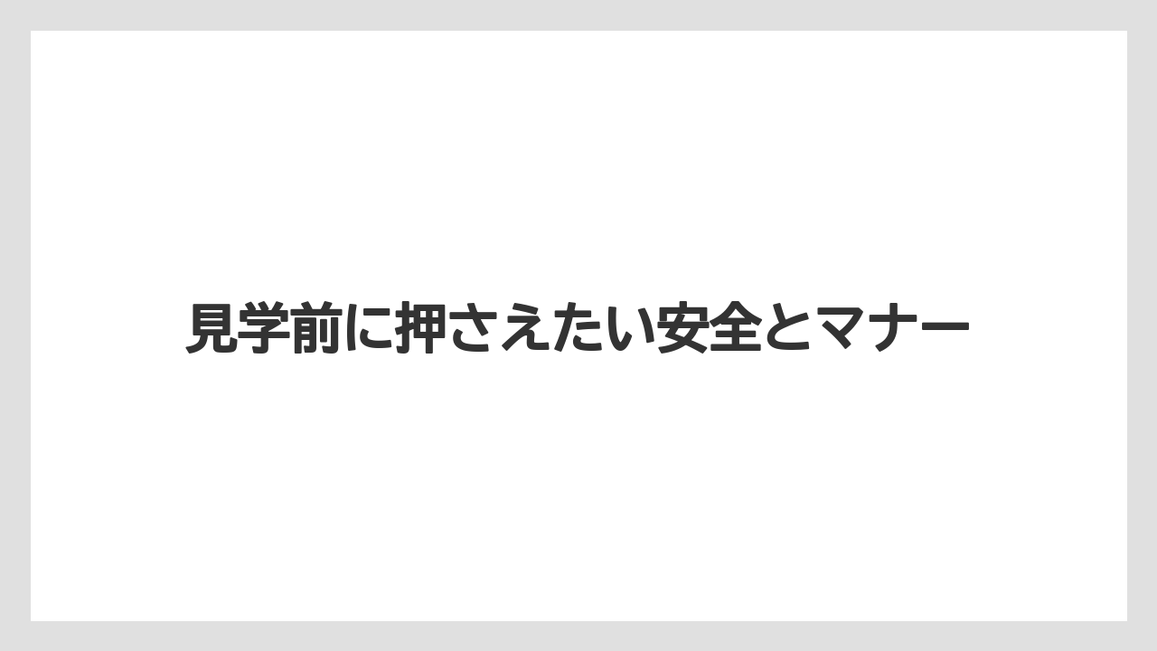 見学前に押さえたい安全とマナー
