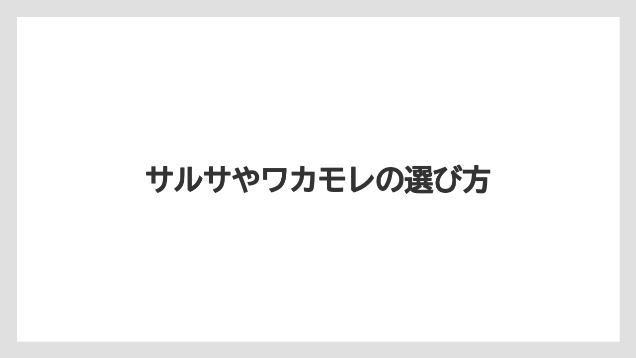 サルサやワカモレの選び方