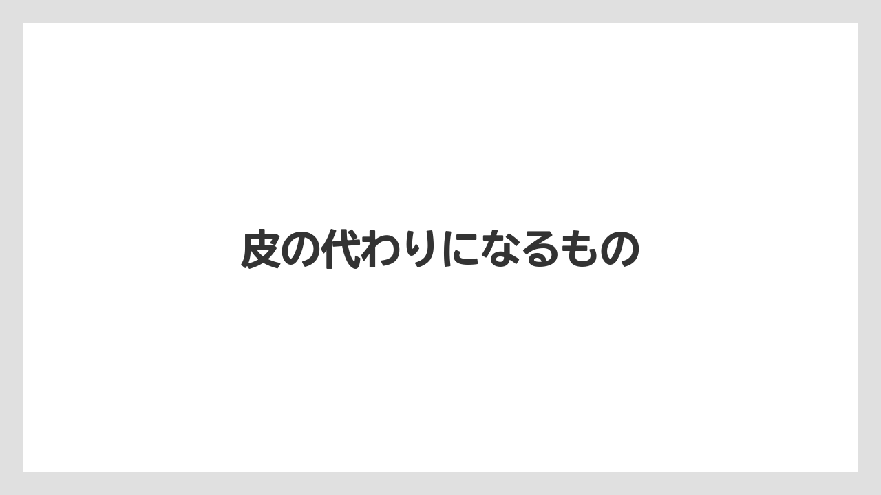 皮の代わりになるもの