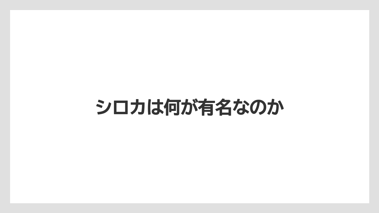 シロカは何が有名なのか