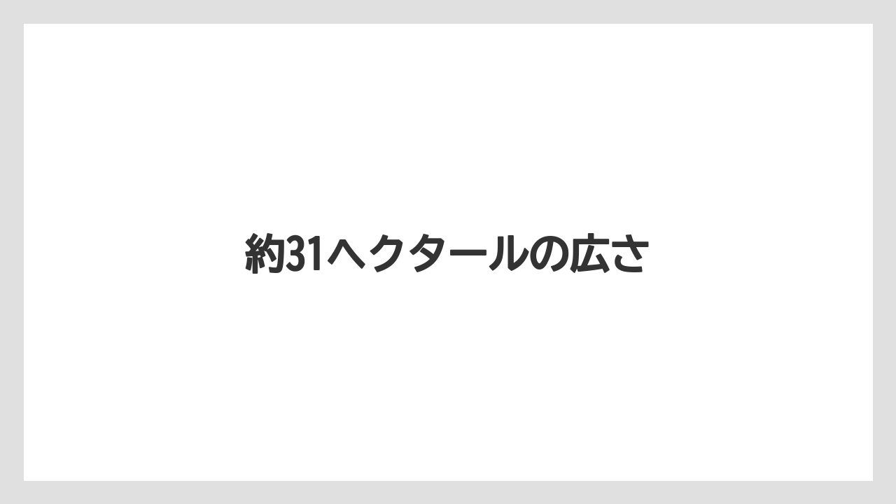 約31ヘクタールの広さ