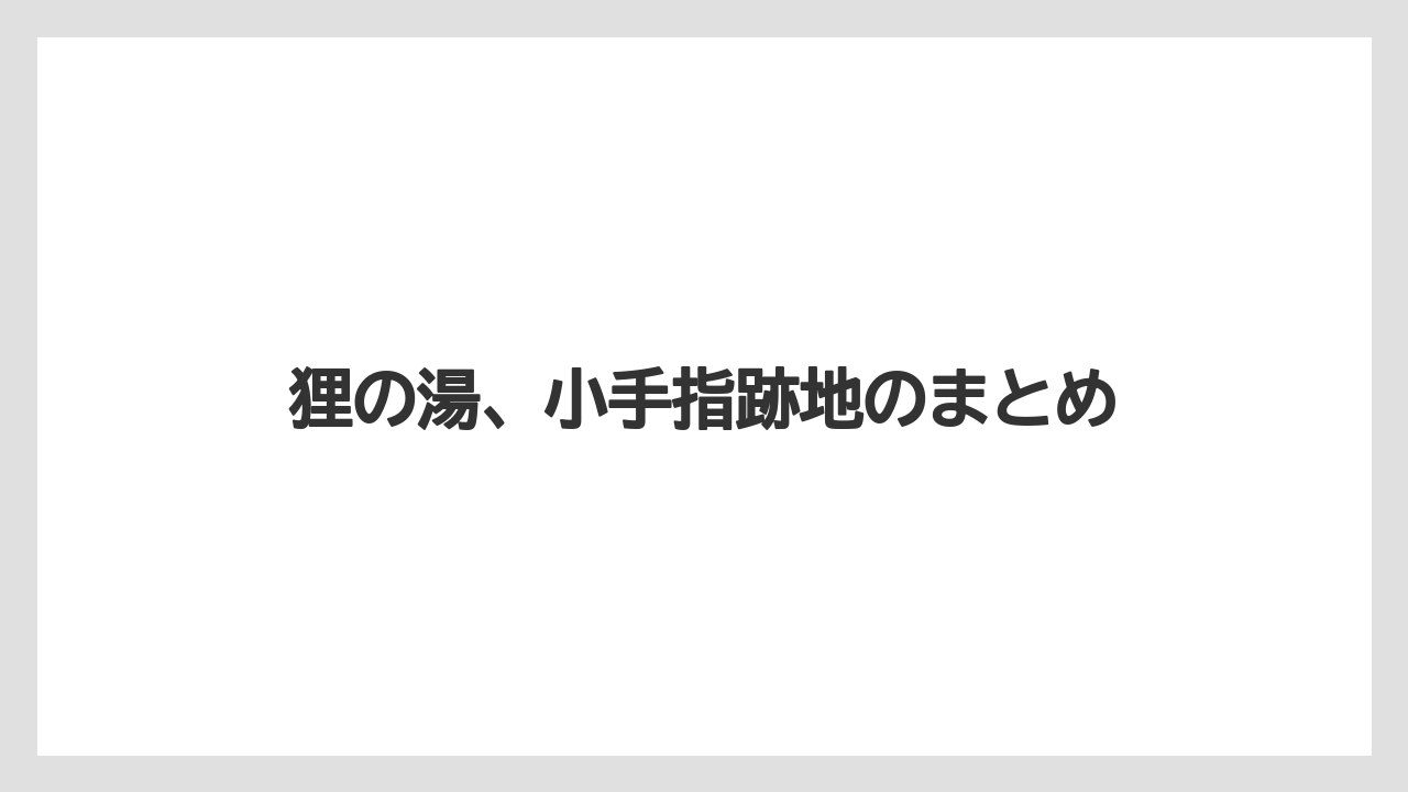 狸の湯、小手指跡地のまとめ
