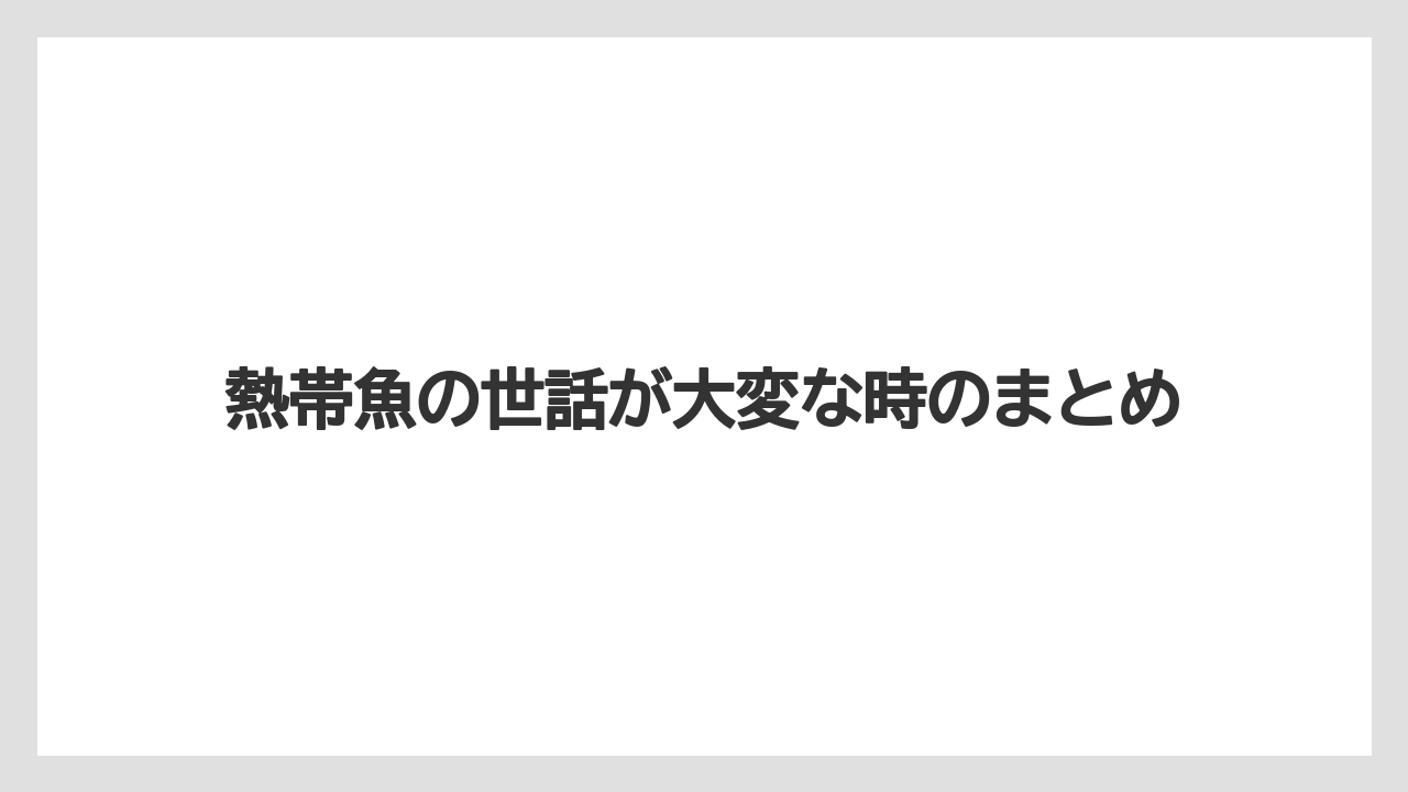 熱帯魚の世話が大変な時のまとめ