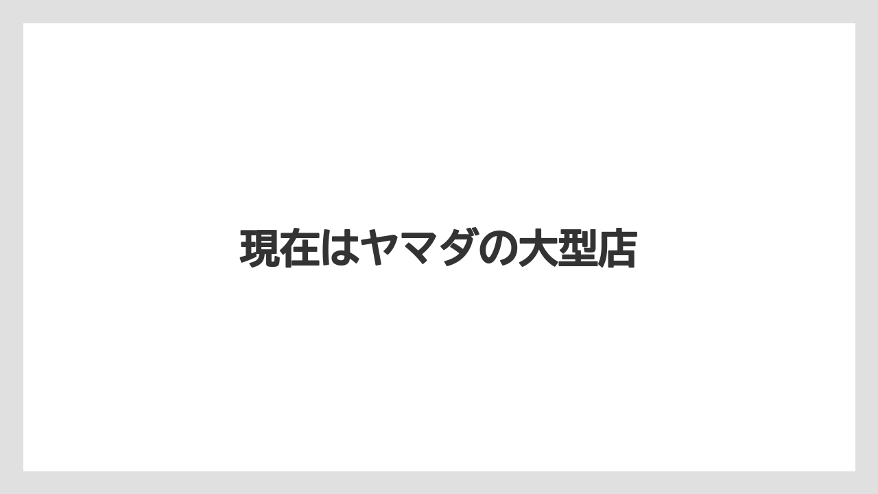 現在はヤマダの大型店