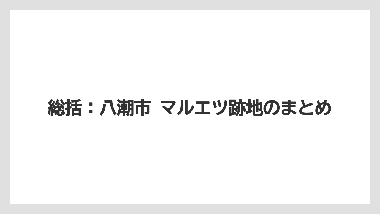 総括：八潮市 マルエツ跡地のまとめ