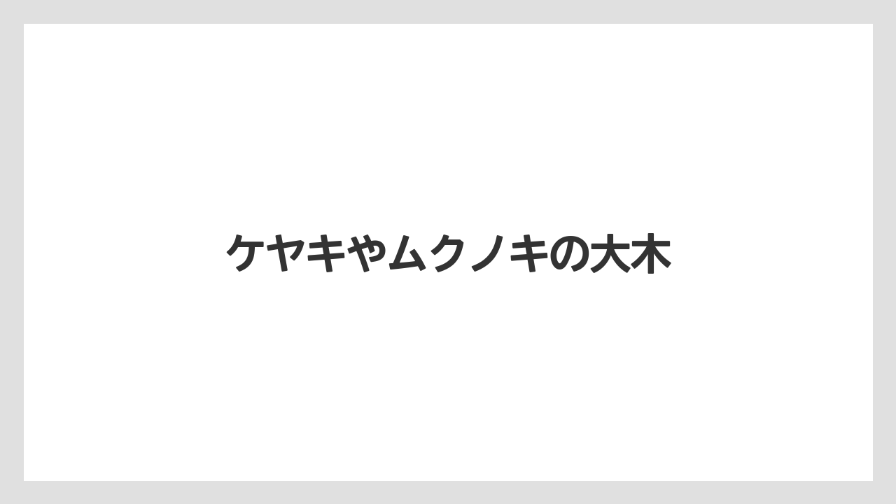 ケヤキやムクノキの大木